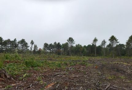 Property in Androscoggin County, Maine