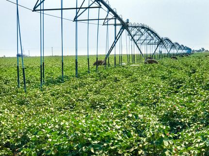 Property in Ochiltree County, Texas