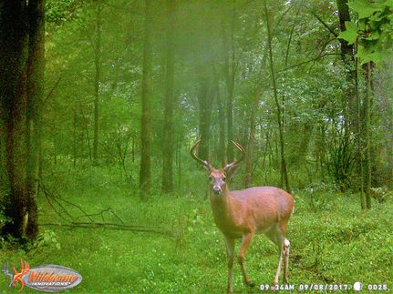 Property in Allegan County, Michigan