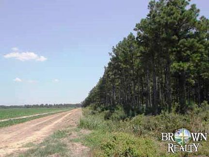 Property in West Carroll Parish, Louisiana