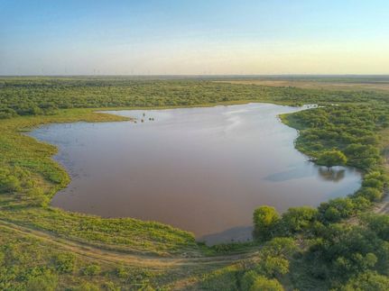 Property in Archer County, Texas