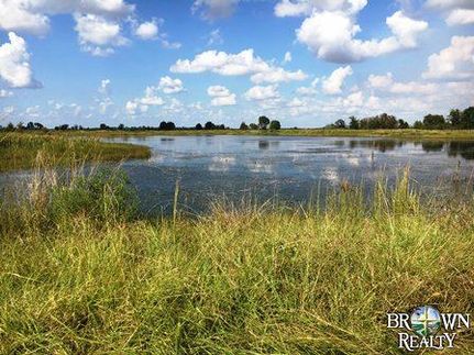 Property in Morehouse Parish, Louisiana