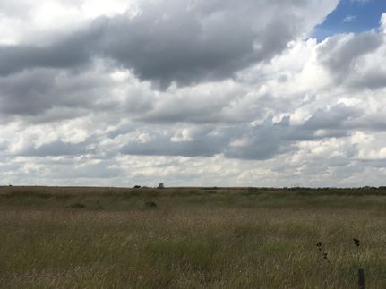 Property in Donley County, Texas