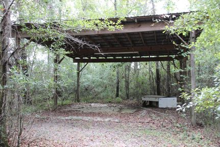 Property in Screven County, Georgia
