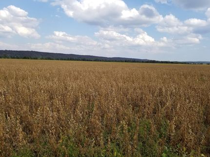 Property in Pulaski County, Arkansas