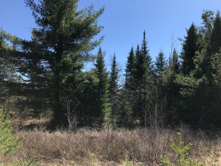 Property in Saint Lawrence County, New York