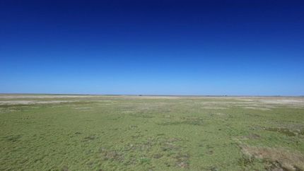 Property in Cochran County, Texas