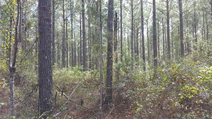 Property in Miller County, Georgia