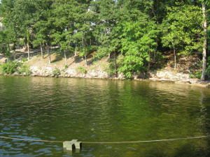 Property in Camden County, Missouri