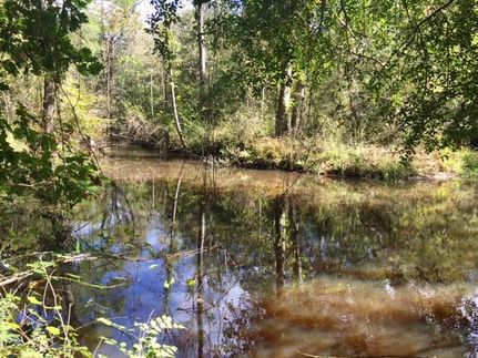 Property in Washington County, Georgia