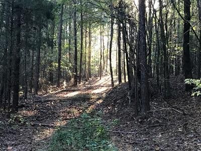 Property in Lawrence County, Alabama