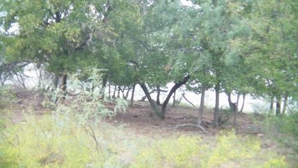 Property in Falls County, Texas