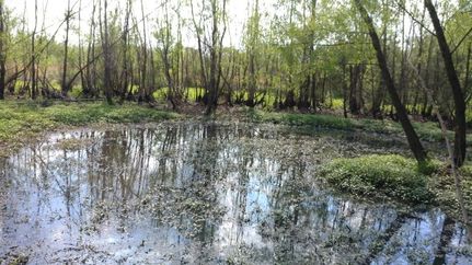 Property in Lonoke County, Arkansas