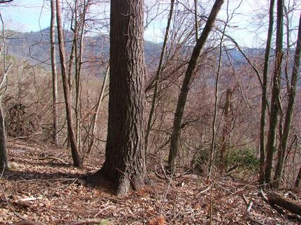 Property in Watauga County, North Carolina