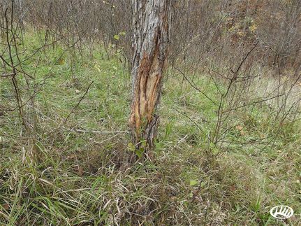 Property in Fayette County, Iowa