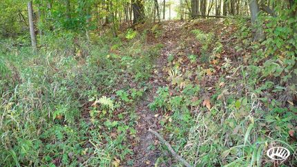 Property in Midland County, Michigan