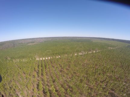 Property in Ware County, Georgia