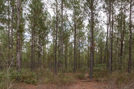 Property in Pender County, North Carolina