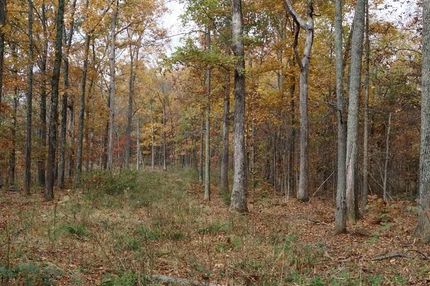 Property in Hamilton County, Illinois