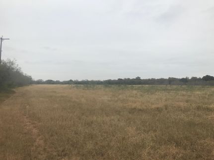 Property in Bexar County, Texas