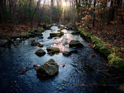 Property in Oxford County, Maine
