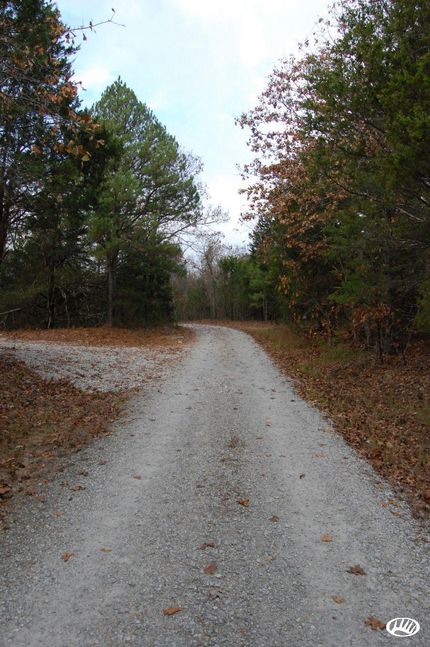Property in Baxter County, Arkansas