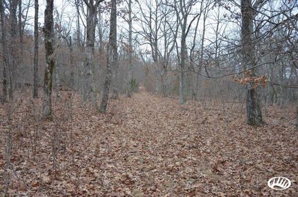 Property in Iron County, Missouri