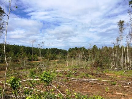 Property in Pike County, Alabama