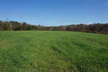 Property in Sumter County, Alabama