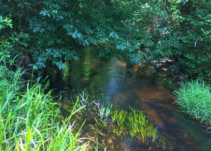 Property in Aiken County, South Carolina