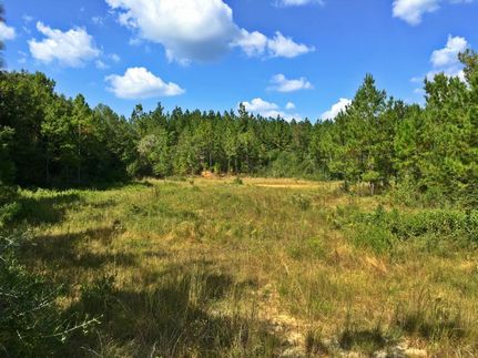 Property in Mobile County, Alabama