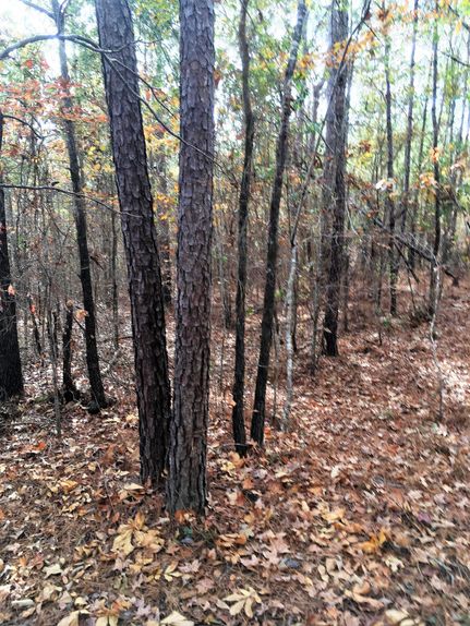 Property in Twiggs County, Georgia