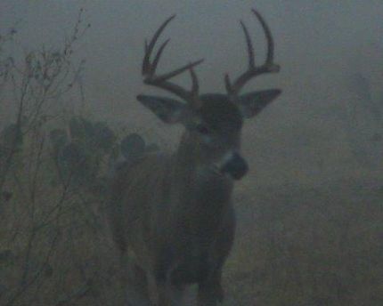 Property in Starr County, Texas