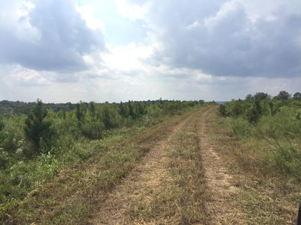 Property in Clay County, Georgia