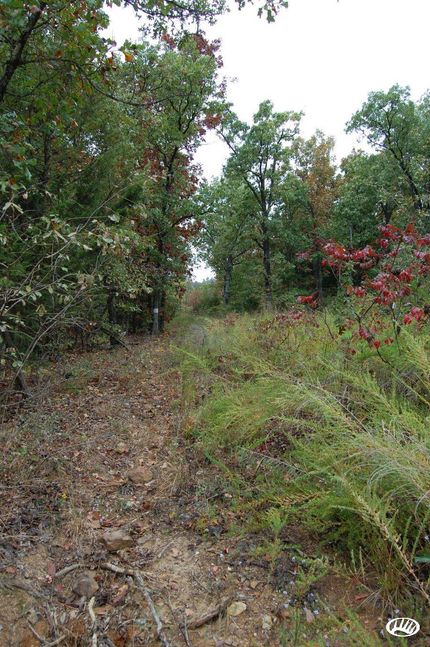 Property in Newton County, Arkansas