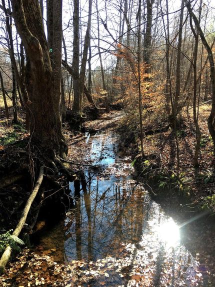 Property in Alcorn County, Mississippi
