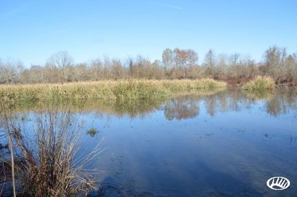 Property in Franklin Parish, Louisiana
