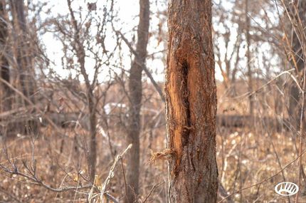 Property in Reno County, Kansas