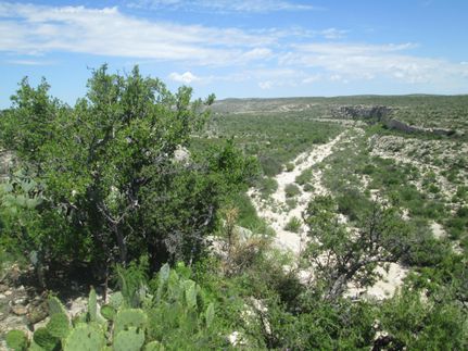 Property in Terrell County, Texas