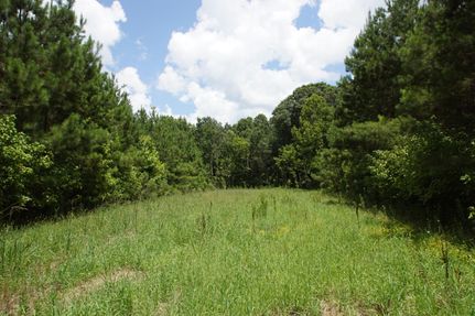 Property in Yazoo County, Mississippi