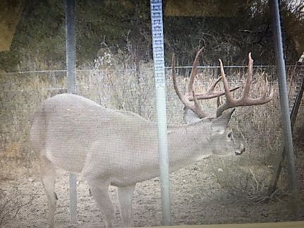 Property in Webb County, Texas