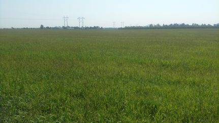 Property in Holt County, Nebraska