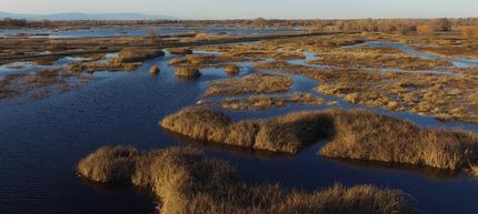 Property in Colusa County, California