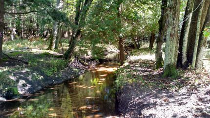 Property in Mason County, Michigan