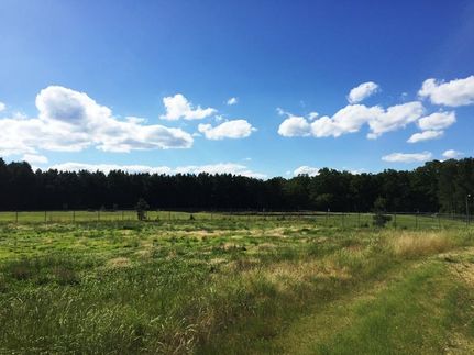 Property in Benton County, Tennessee