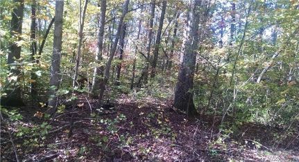 Property in Forsyth County, North Carolina