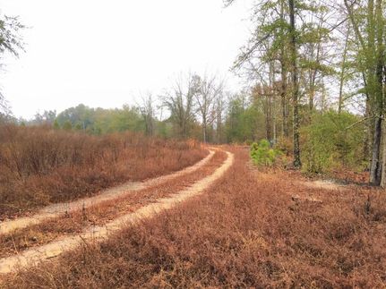 Property in Aiken County, South Carolina