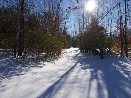 Property in Oxford County, Maine