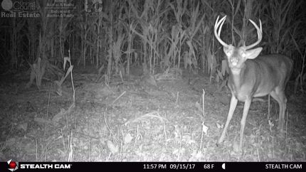 Property in Sauk County, Wisconsin