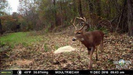 Property in Madison Parish, Louisiana